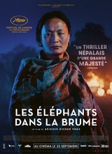 Affiche du film LES ÉLÉPHANTS DANS LA BRUME