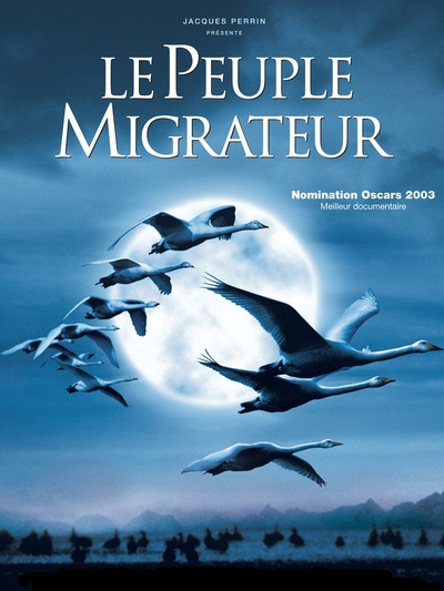 Affiche du film