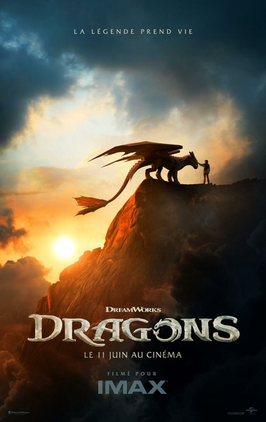Affiche du film