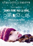 Affiche du filmZAINEB N'AIME PAS LA NEIGE
