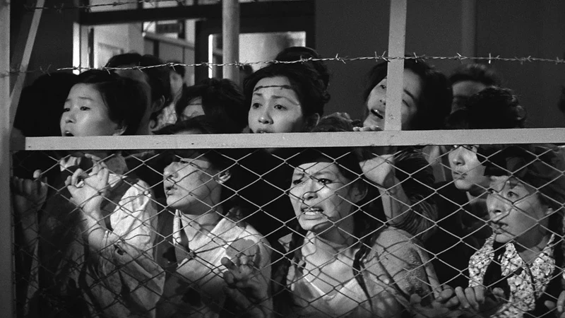 image tirée du film